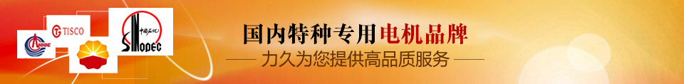 力久——特種專(zhuān)用電機(jī)品牌！